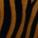 Tigre